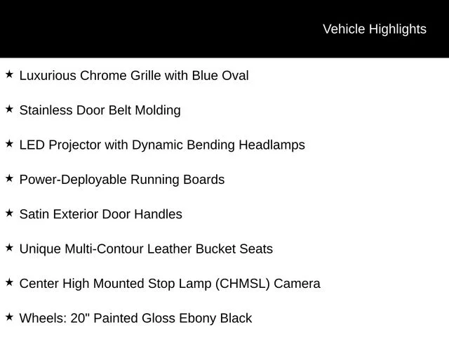 New 2026 Agate Black Metallic Ford Platinum image 7