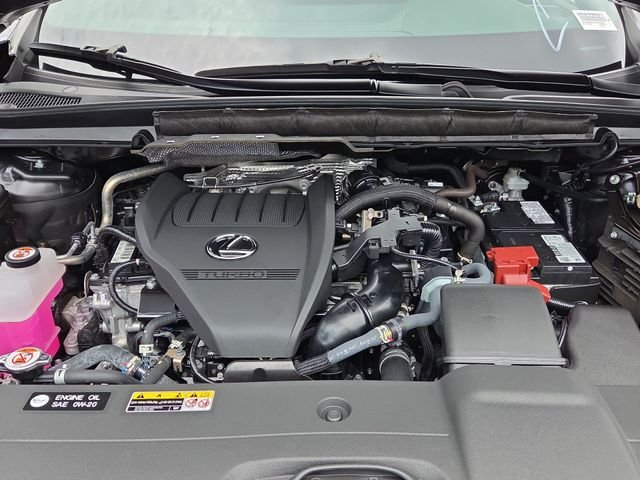 2025 Lexus RX 350 - Photo 25