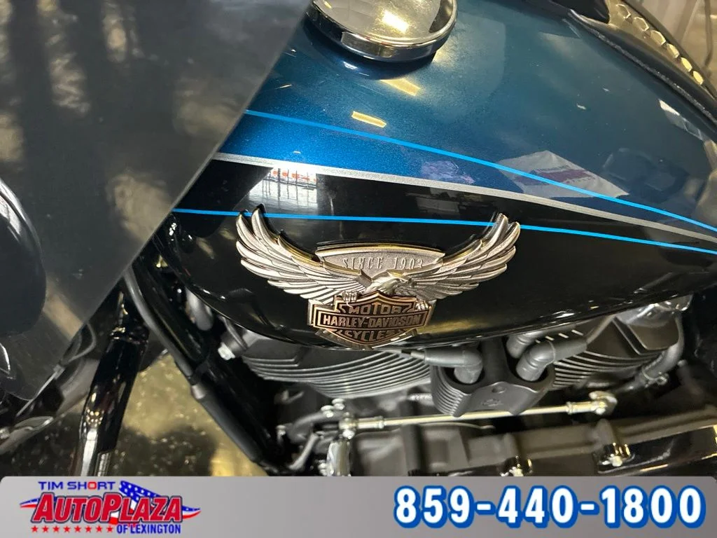 Used 2018  Harley-Davidson 115th Year Anniversary image 11