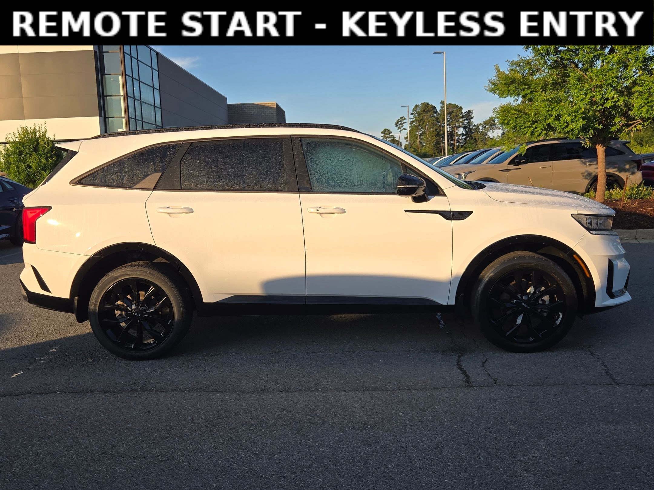 Used 2023 Glacial White Pearl Kia SX image 8
