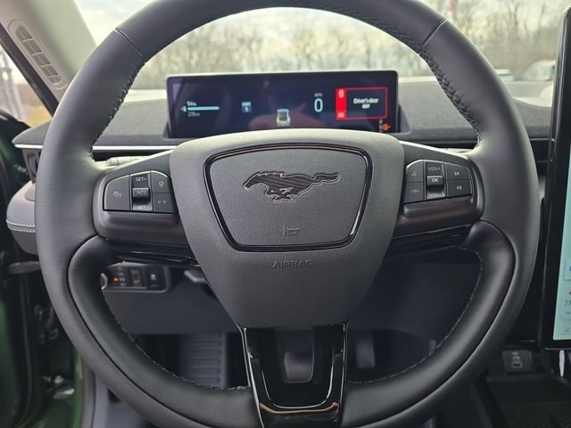 New 2026 Eruption Green Metallic Ford Premium image 49