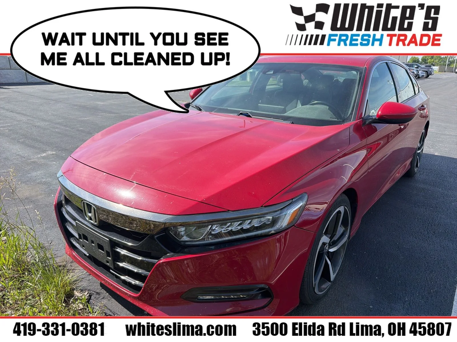 2019 Honda Accord's photo
