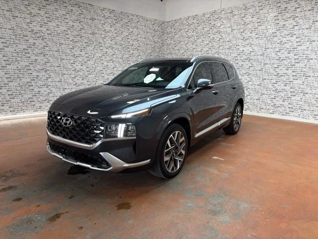 Used 2023 Portofino Gray Hyundai Calligraphy image 3