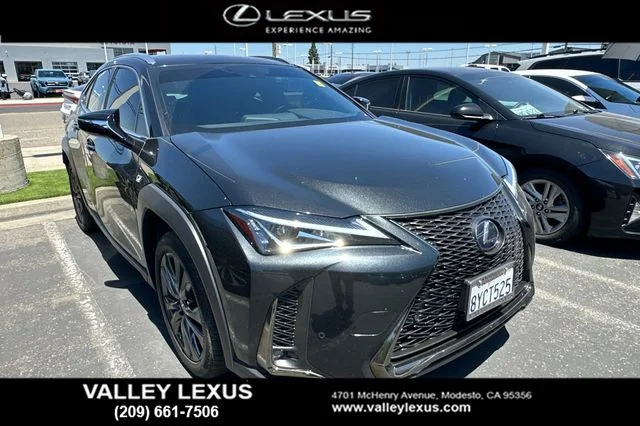 2021 Lexus UX 300h 250h F SPORT AWD's photo