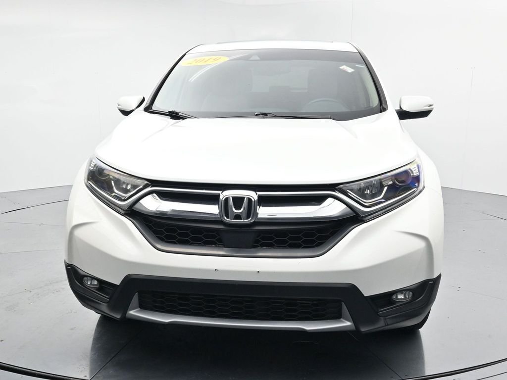 Used 2019  Honda EX-L image 3