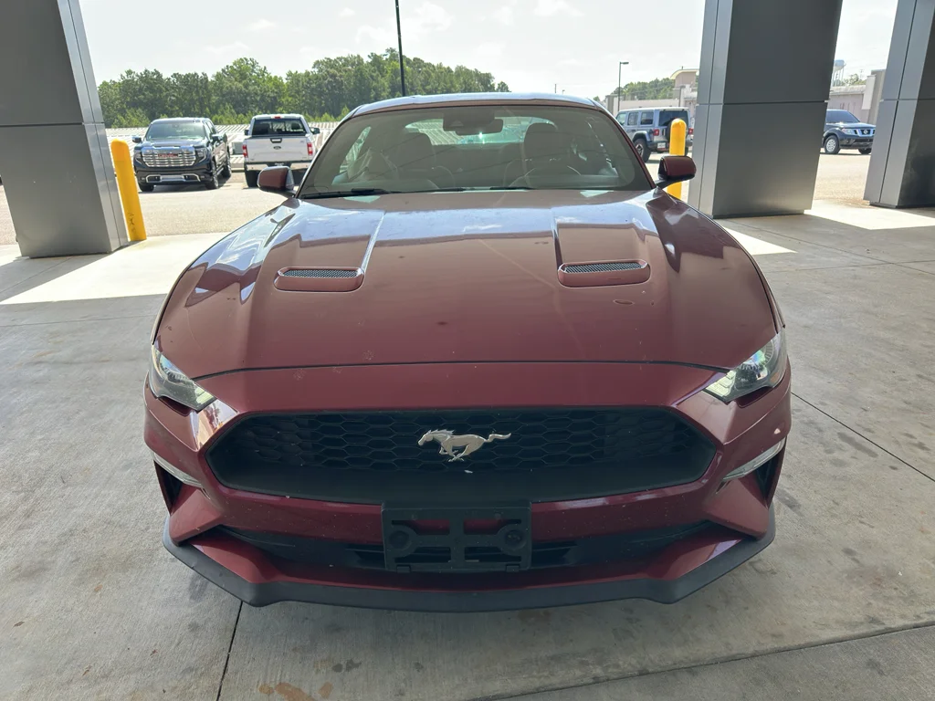 Used 2019 Ruby Red Metallic Tinted Clearcoat Ford EcoBoost image 2