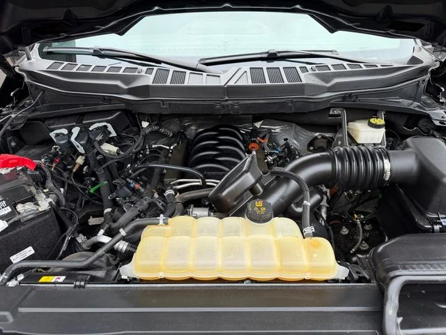 Used 2022 Black Ford XLT image 19