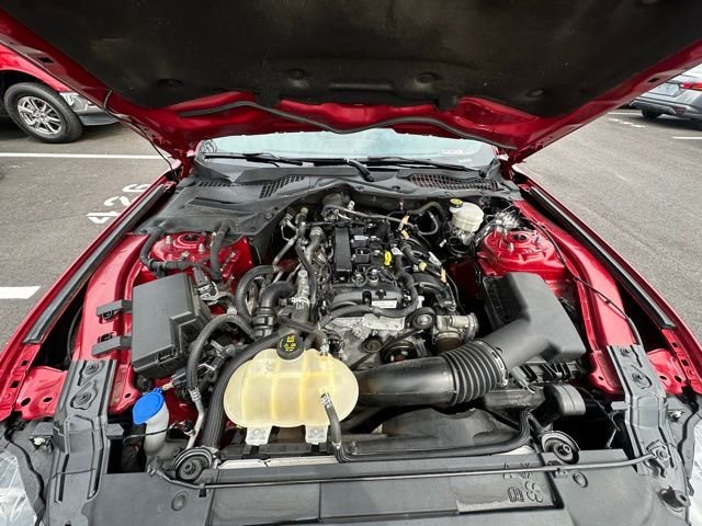 Used 2022 Red Ford EcoBoost Premium image 16
