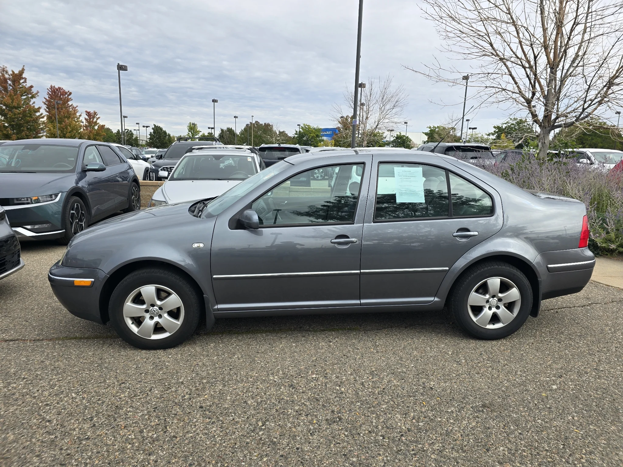 Used 2004 Brown Volkswagen GLS TDI image 2