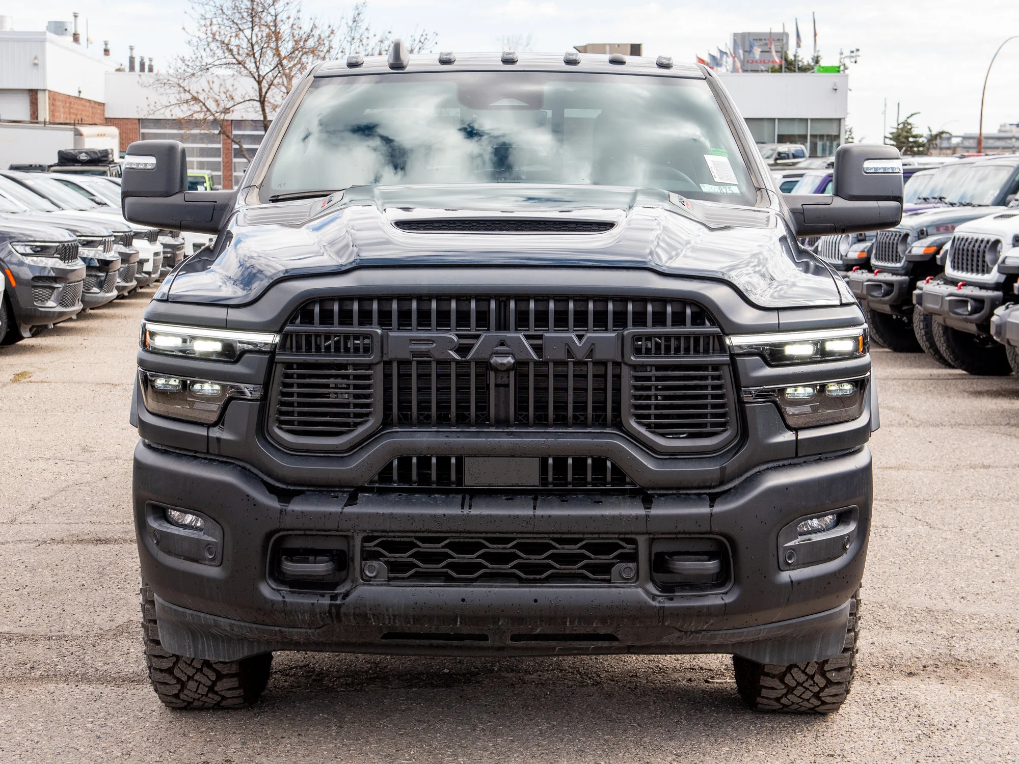 New 2026 Blue RAM Rebel* image 8