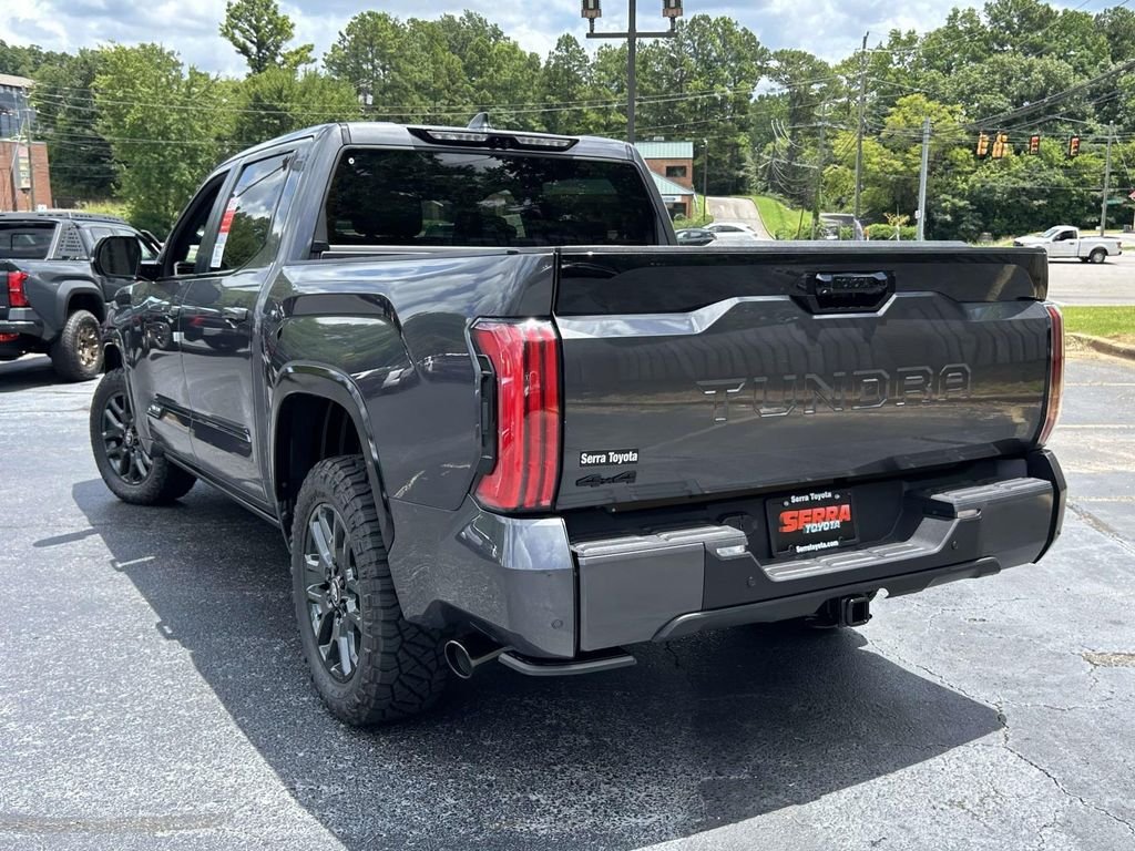 New 2026 Magnetic Gray Metallic Toyota Platinum image 5