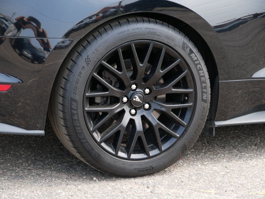 Used 2019 Black Ford GT Premium image 7