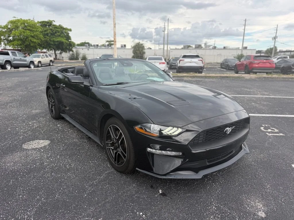 Used 2023 Black Ford EcoBoost Premium Convertible image 11