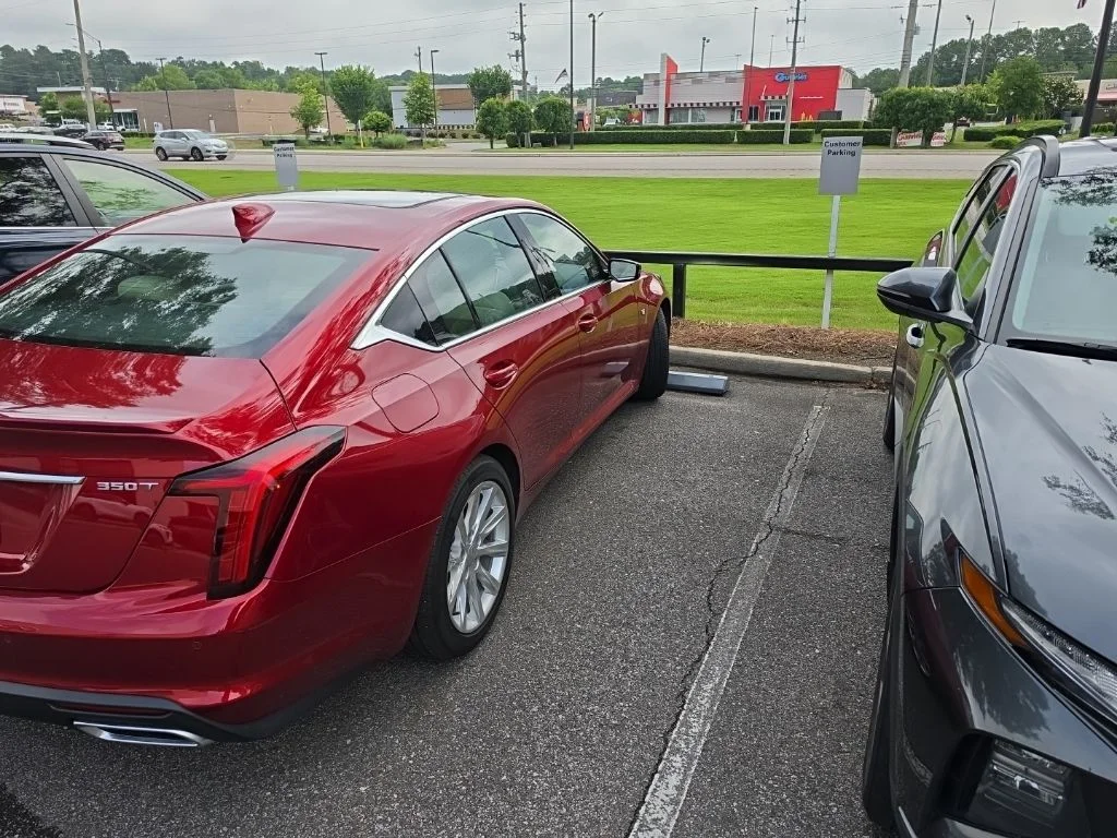 Used 2024 Radiant Red Tintcoat Cadillac Luxury image 6