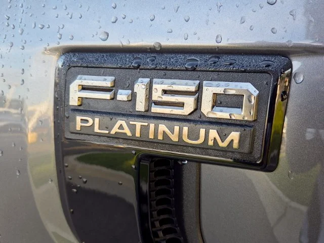 Used 2025 Gray Ford Platinum image 5