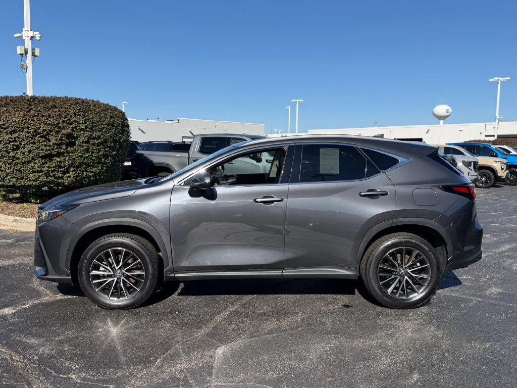 2024 Lexus NX 350 - Photo 6