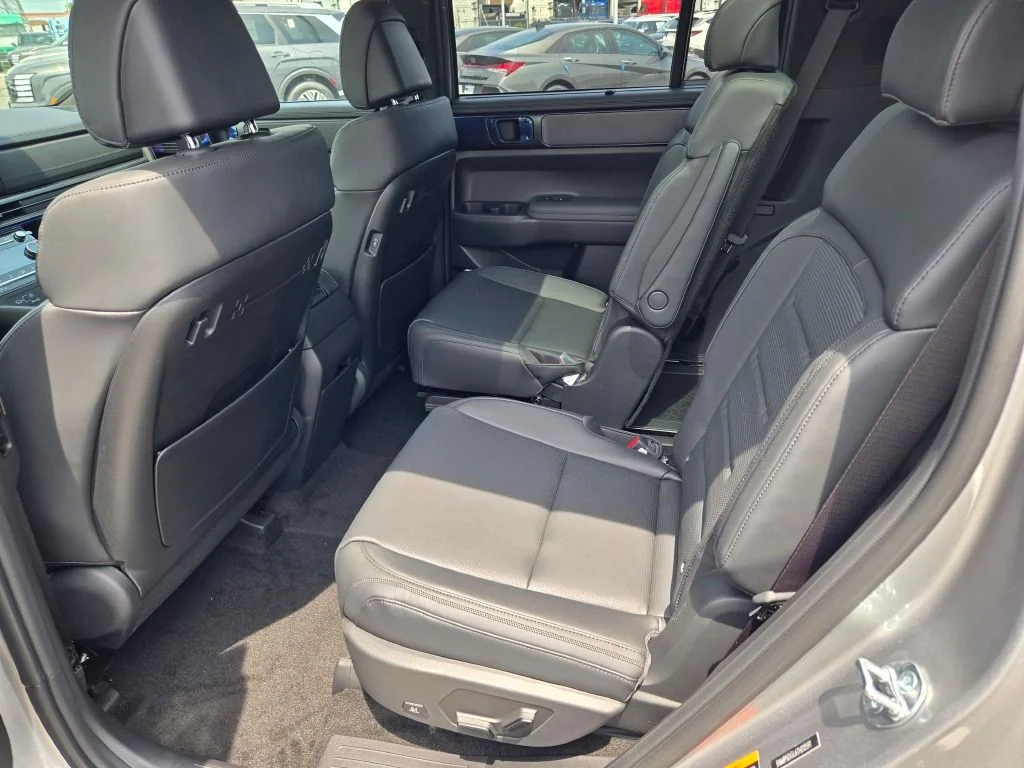 New 2026 Shimmering Silver Hyundai Calligraphy image 18