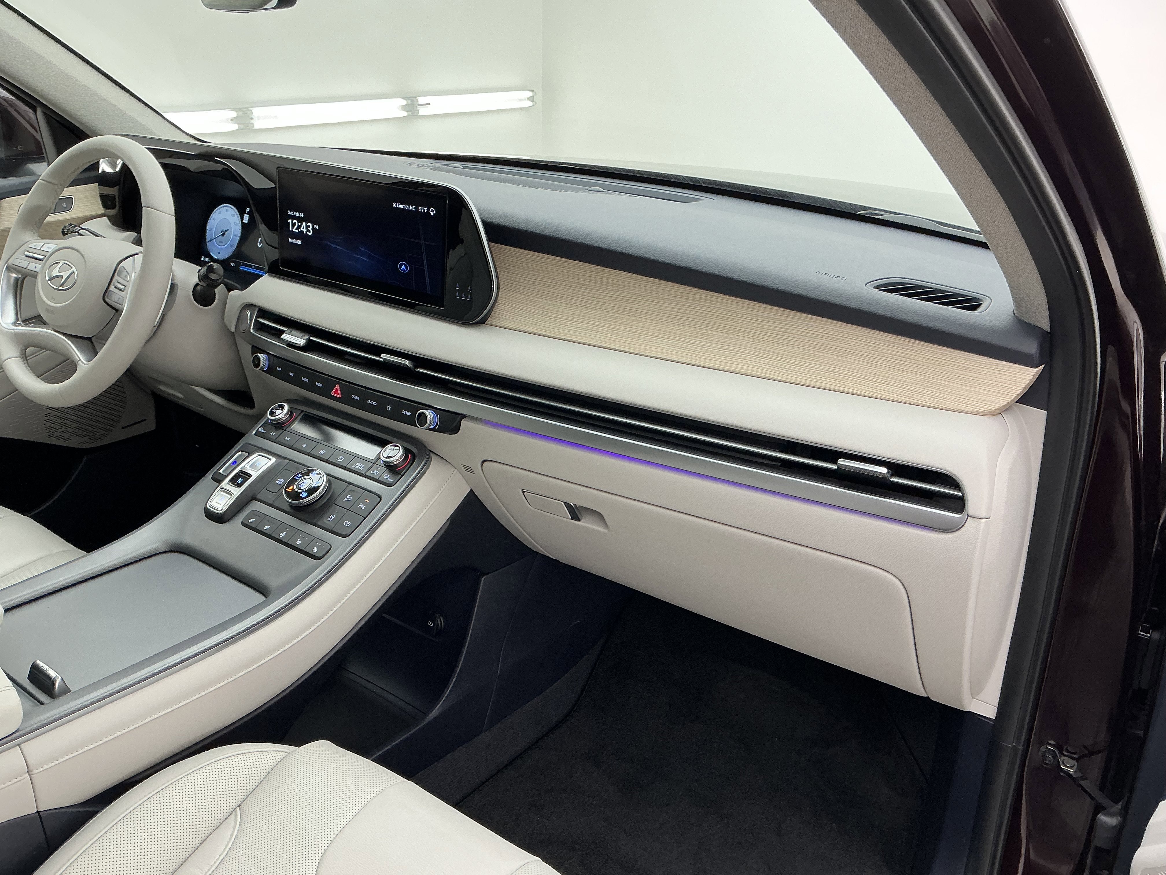 2024 Hyundai Palisade Limited - Photo 25
