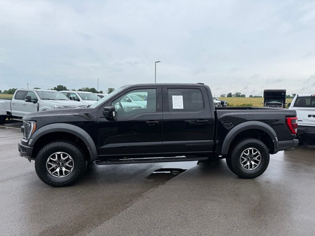 Used 2022 Black Ford Raptor image 41