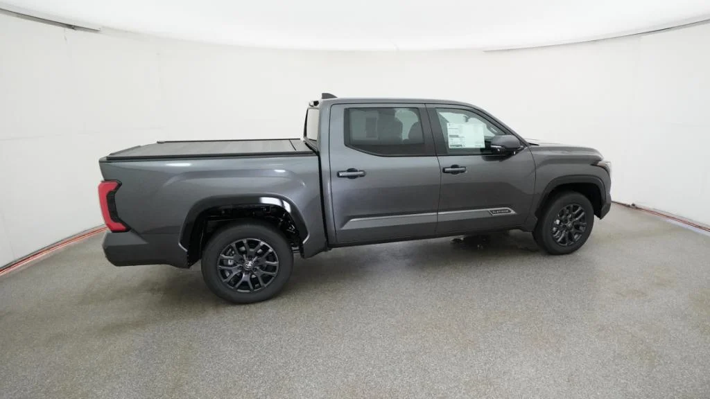 New 2026 Magnetic Gray Metallic Toyota Platinum image 18