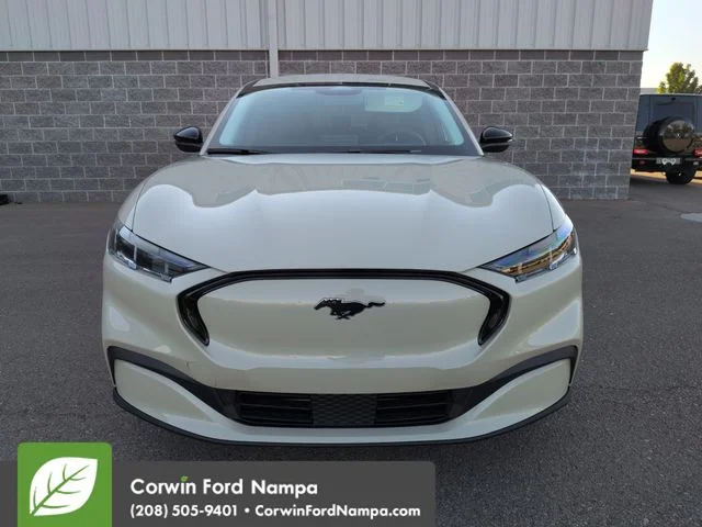 New 2026 Beige Ford Premium image 8