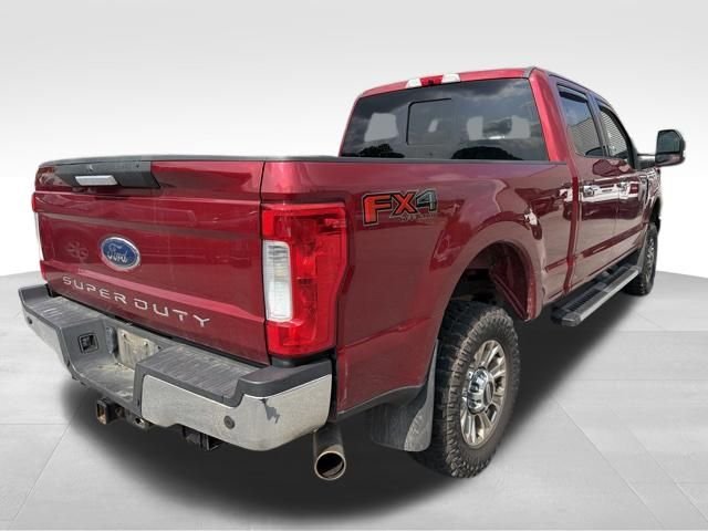 Used 2019 Red Ford XLT image 4