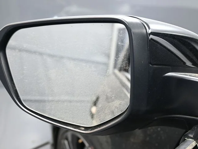 Used 2019 Black Honda Sport image 3