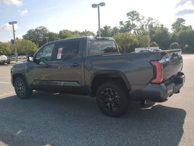 New 2026 Magnetic Gray Metallic Toyota Platinum image 6