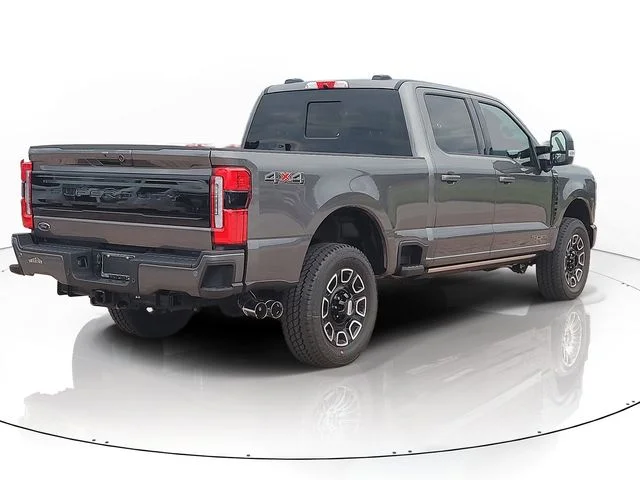 New 2026 Gray Metallic Ford Platinum image 5