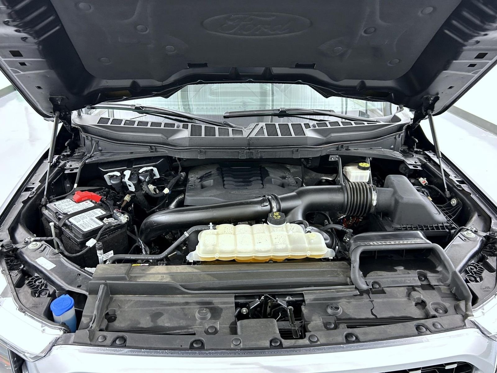 Used 2023 Black Ford Platinum image 25