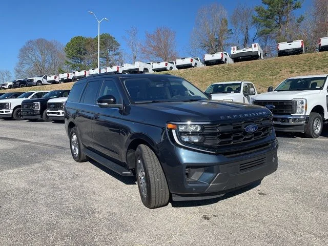 New 2025 Blue Ford Active image 2