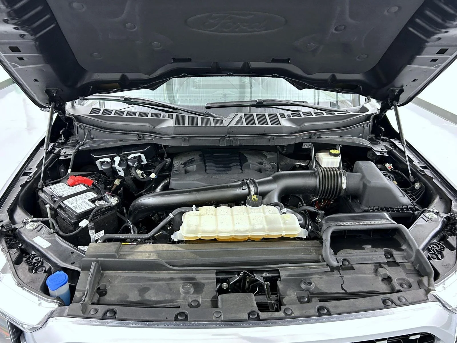 Used 2023 Black Ford Platinum image 25