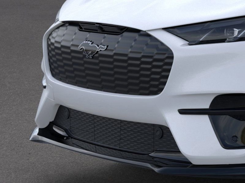 2025 Ford Mustang Mach-E GT - Photo 17