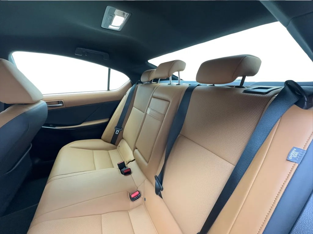 Used 2022 Red Lexus 300 image 24