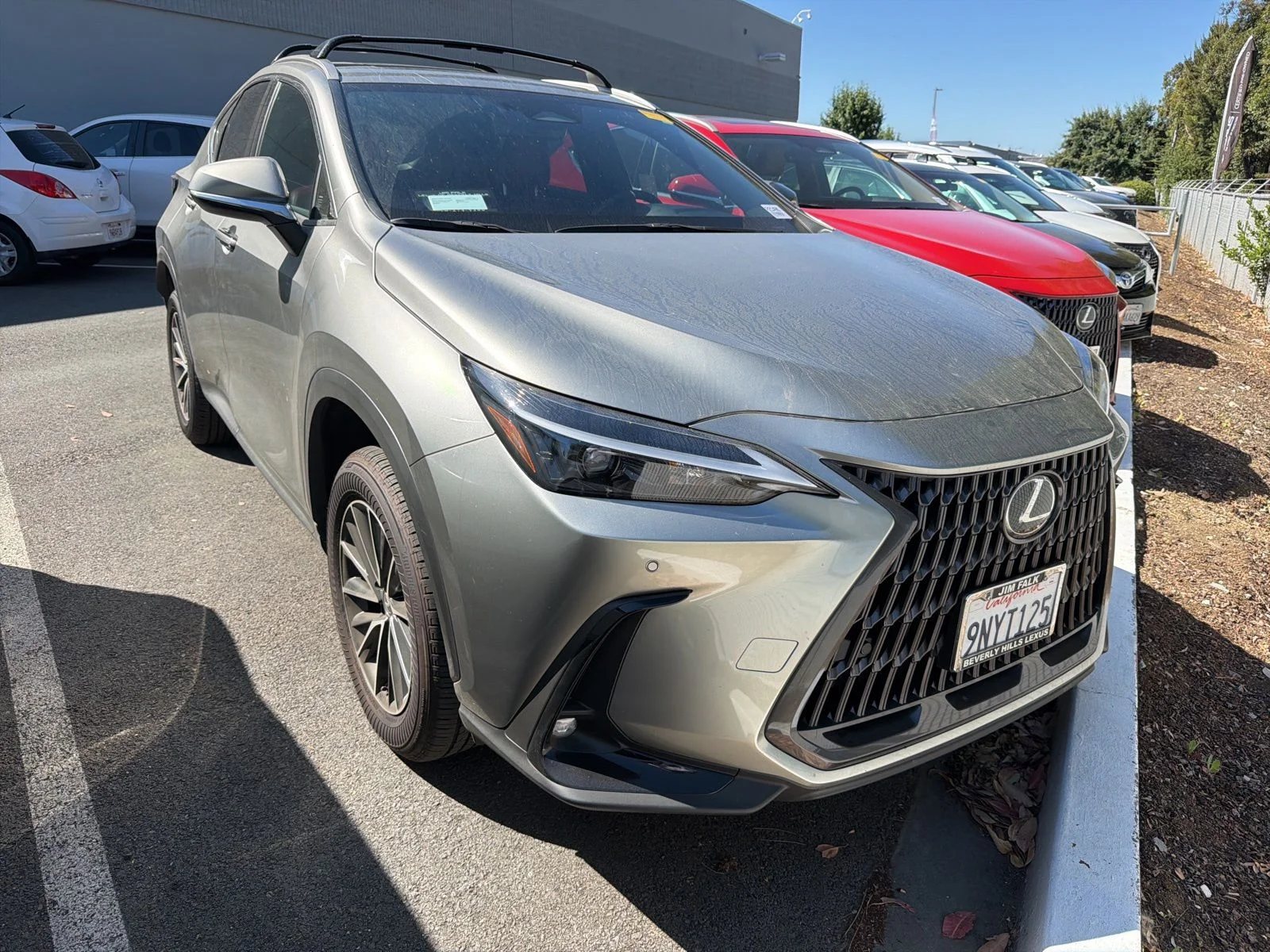 2025 Lexus NX 350h 350h Premium AWD's photo