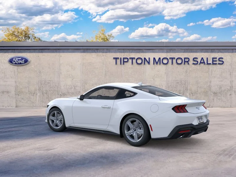 New 2026 Oxford White Ford EcoBoost® Fastback image 4