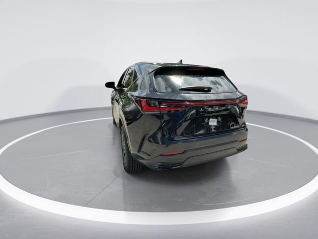 2025 Lexus NX 250 - Photo 6