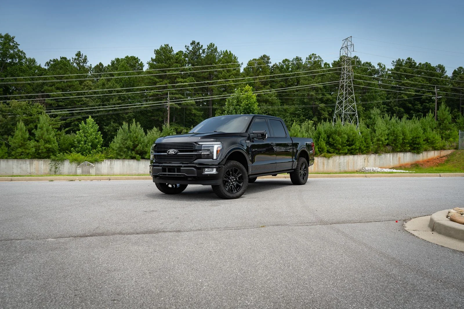 Used 2025 Black Ford Platinum image 1
