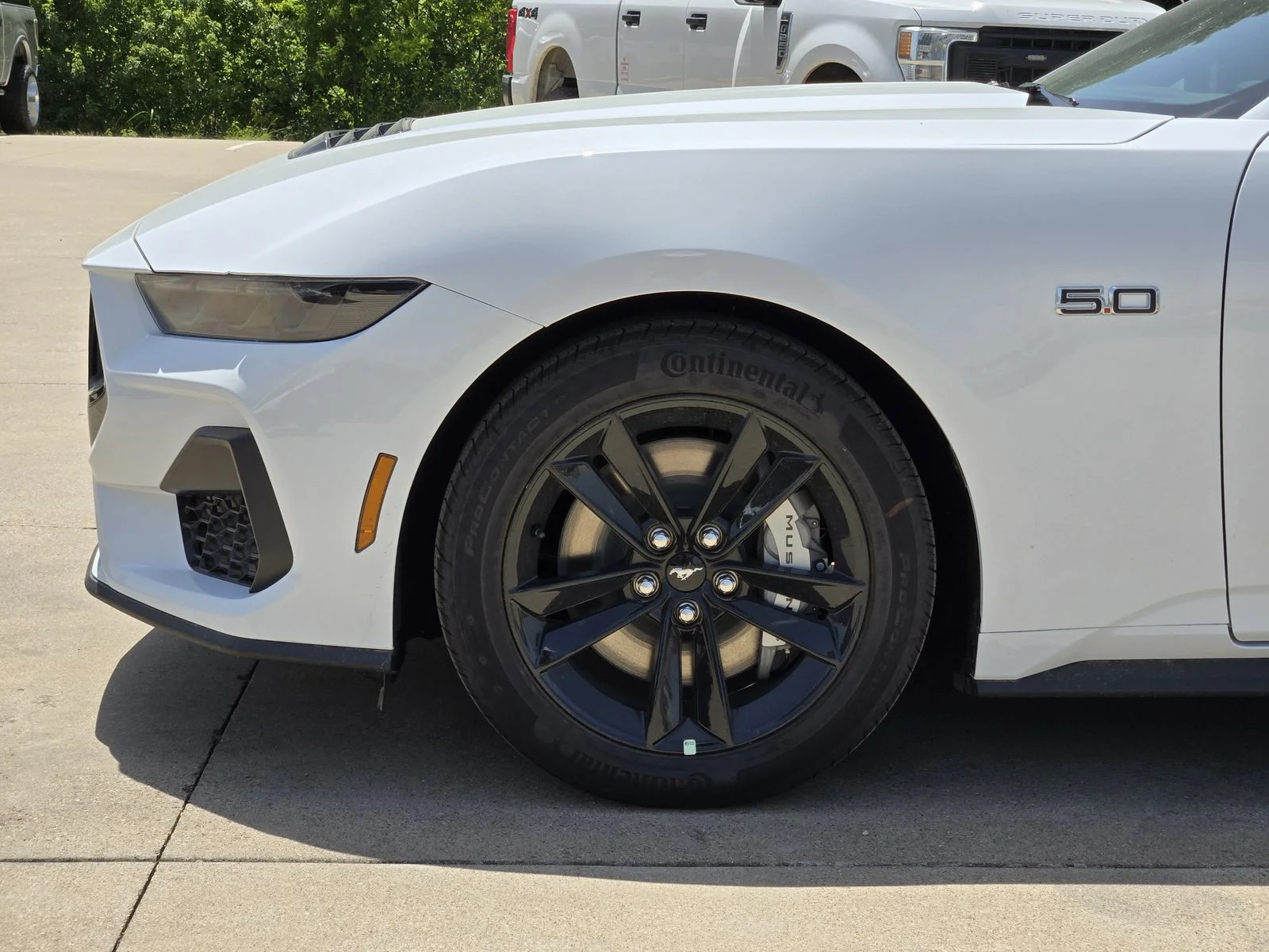 New 2026 Oxford White Ford GT Fastback image 6