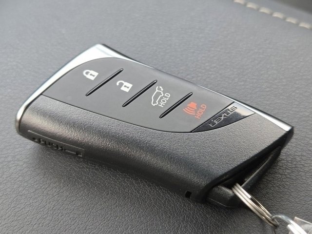 2024 Lexus RX 350 F SPORT - Photo 44