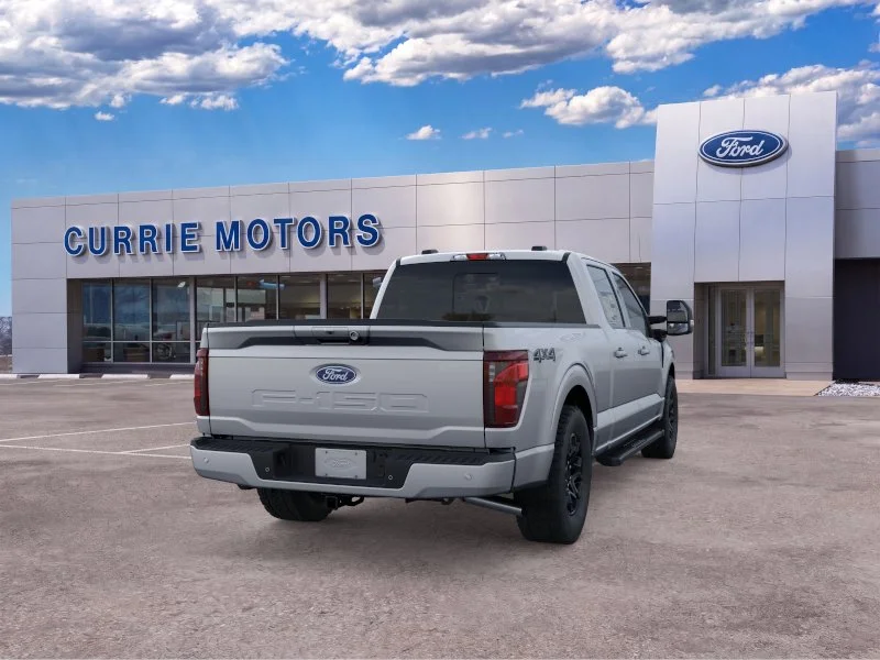 New 2026 Iconic Silver Metallic Ford LIFTED image 28