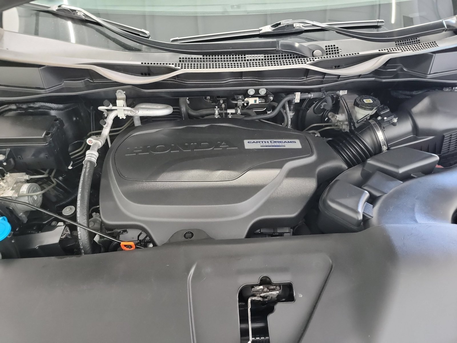 Used 2019 Crystal Black Pearl Honda Elite image 24
