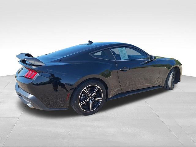 Used 2025 Black Ford EcoBoost image 7