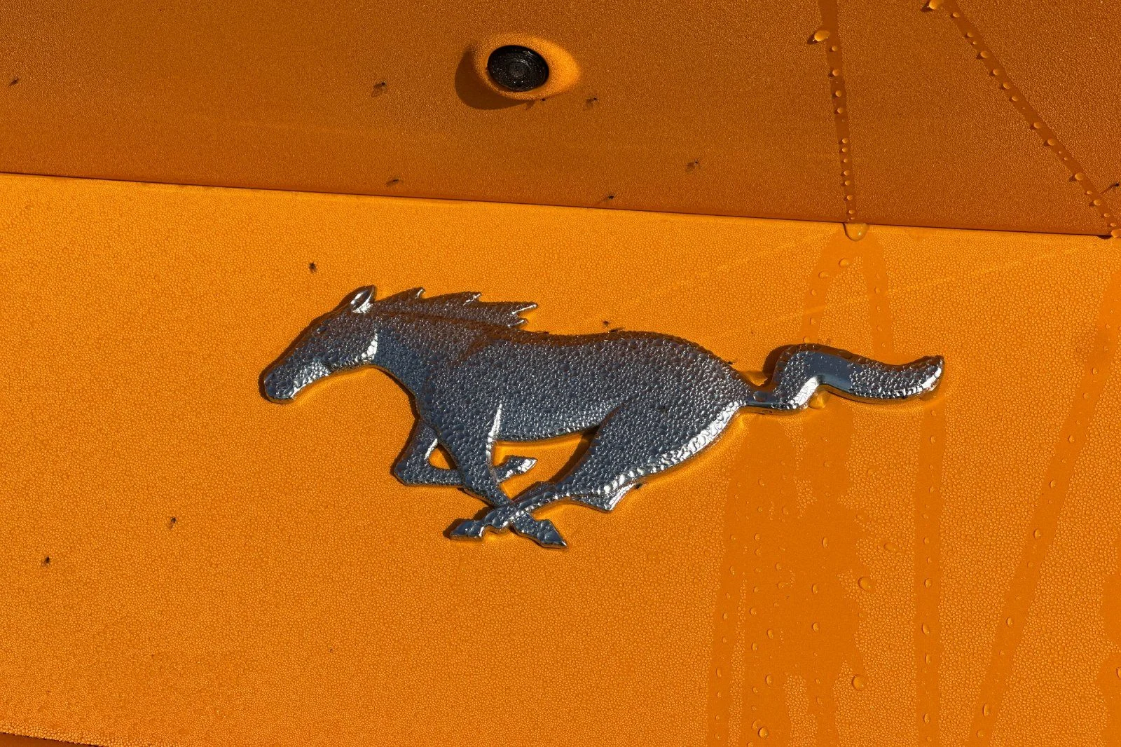 New 2026 Orange Fury Metallic Tri-coat Ford EcoBoost® Fastback image 29