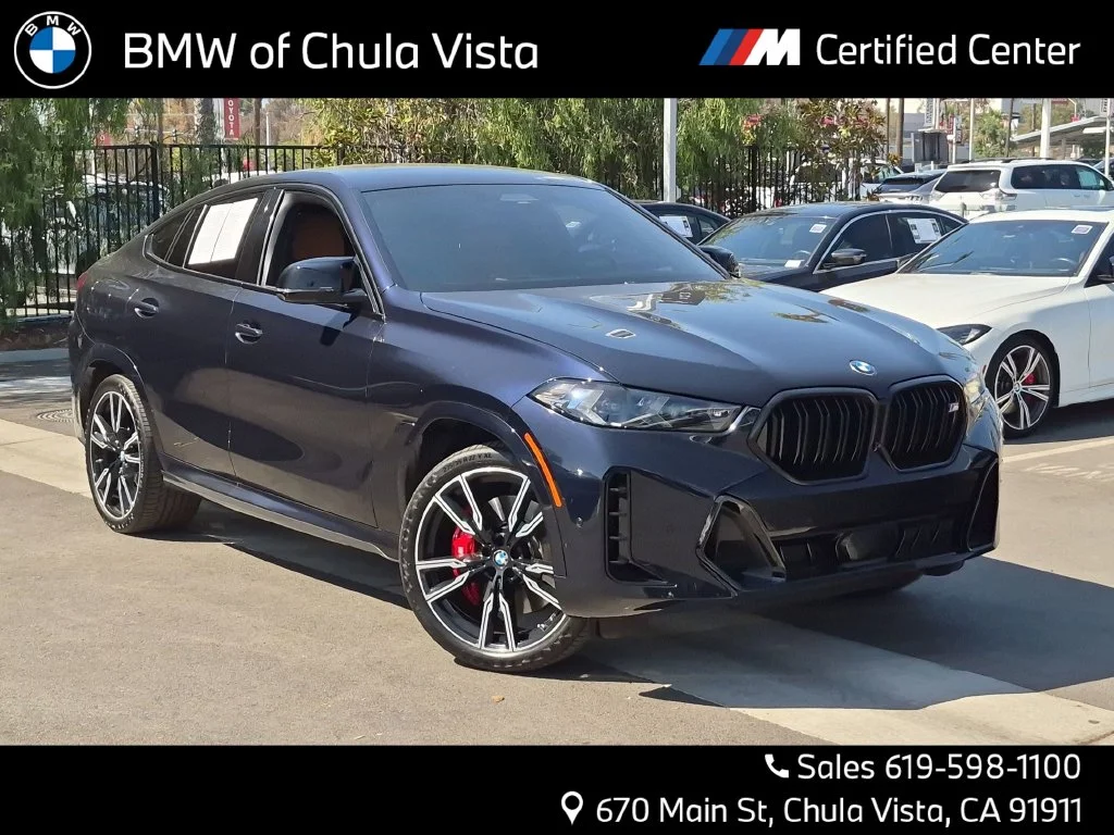 2024 BMW X6