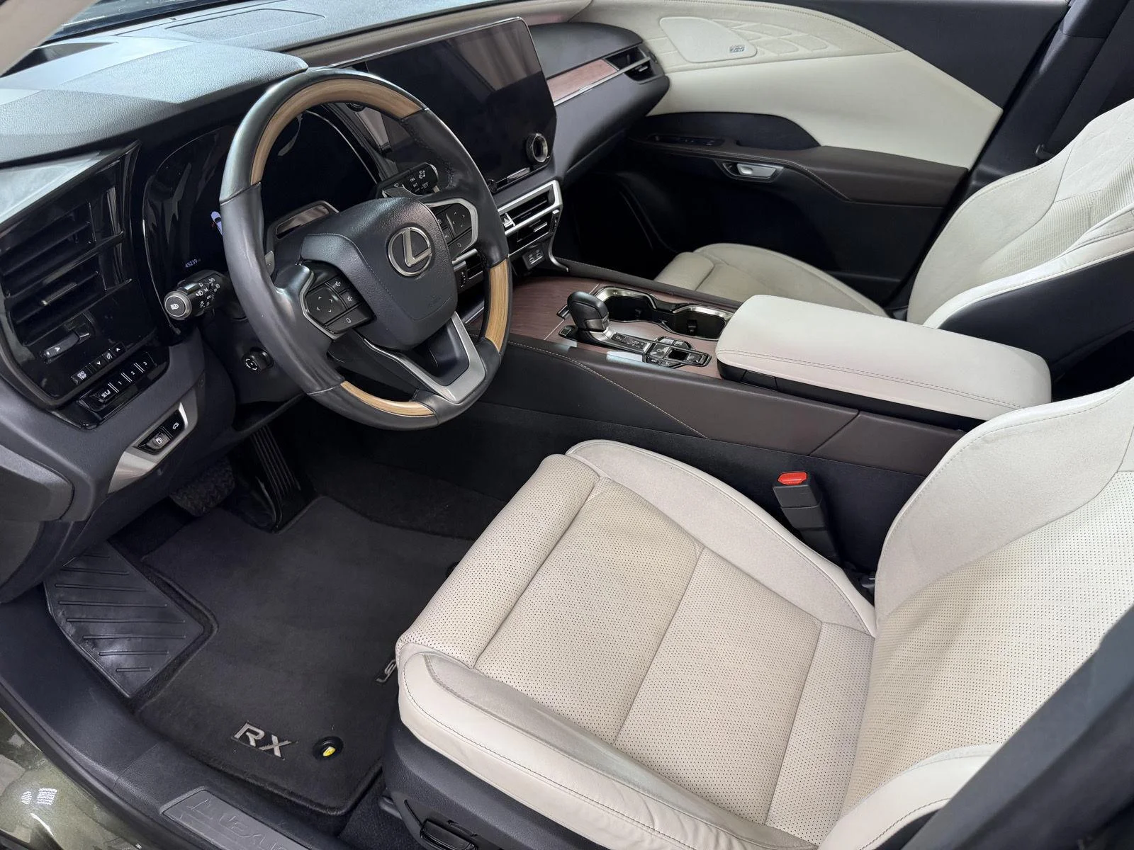 Used 2023 Nori Green Pearl Lexus RX 350 Luxury image 13