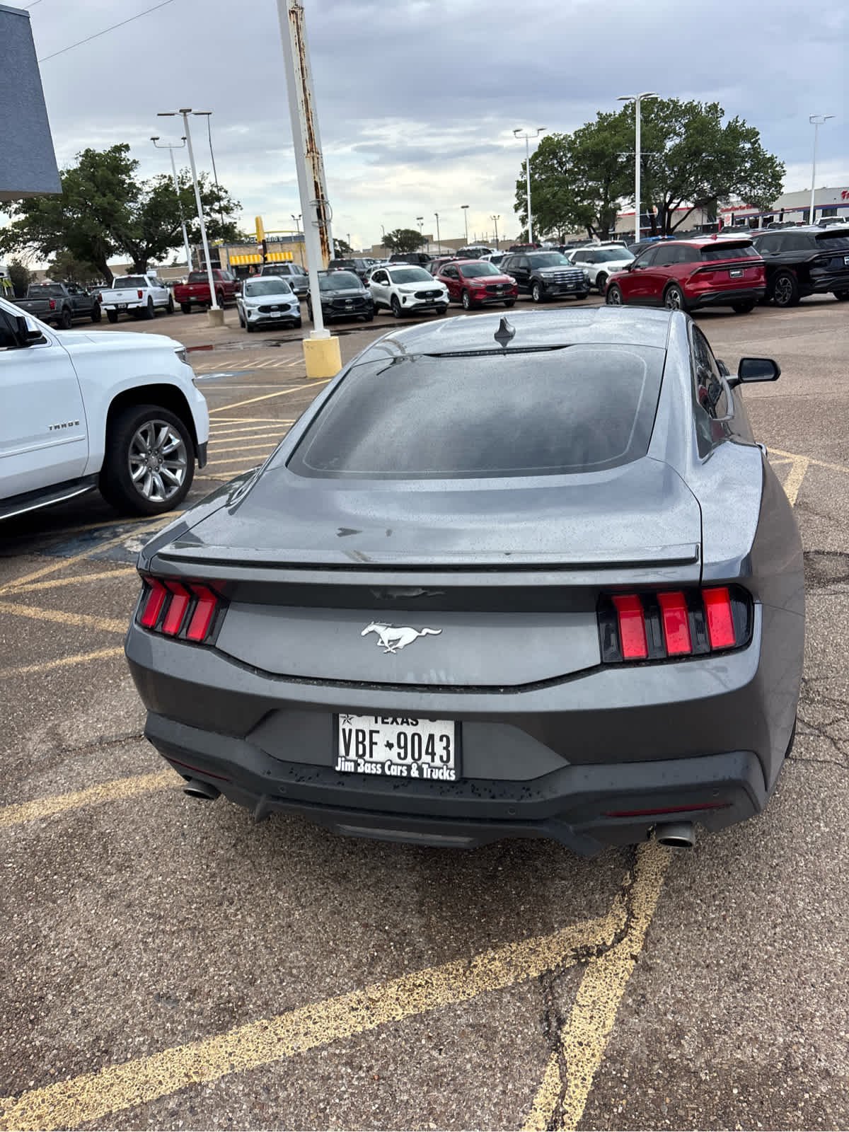 Used 2024 Carbonized Gray Ford EcoBoost Premium image 12