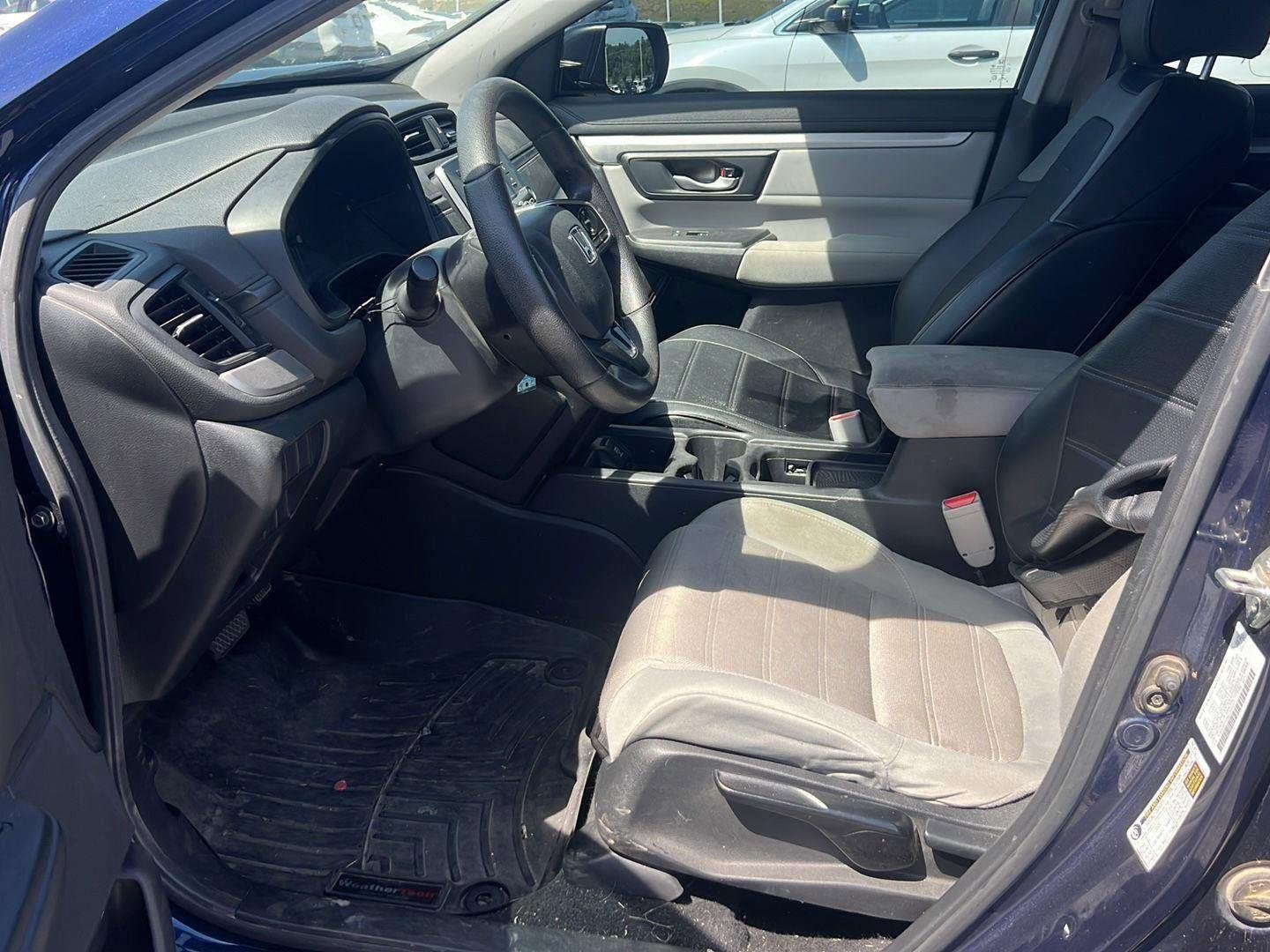 Used 2019 Obsidian Blue Pearl Honda LX image 10