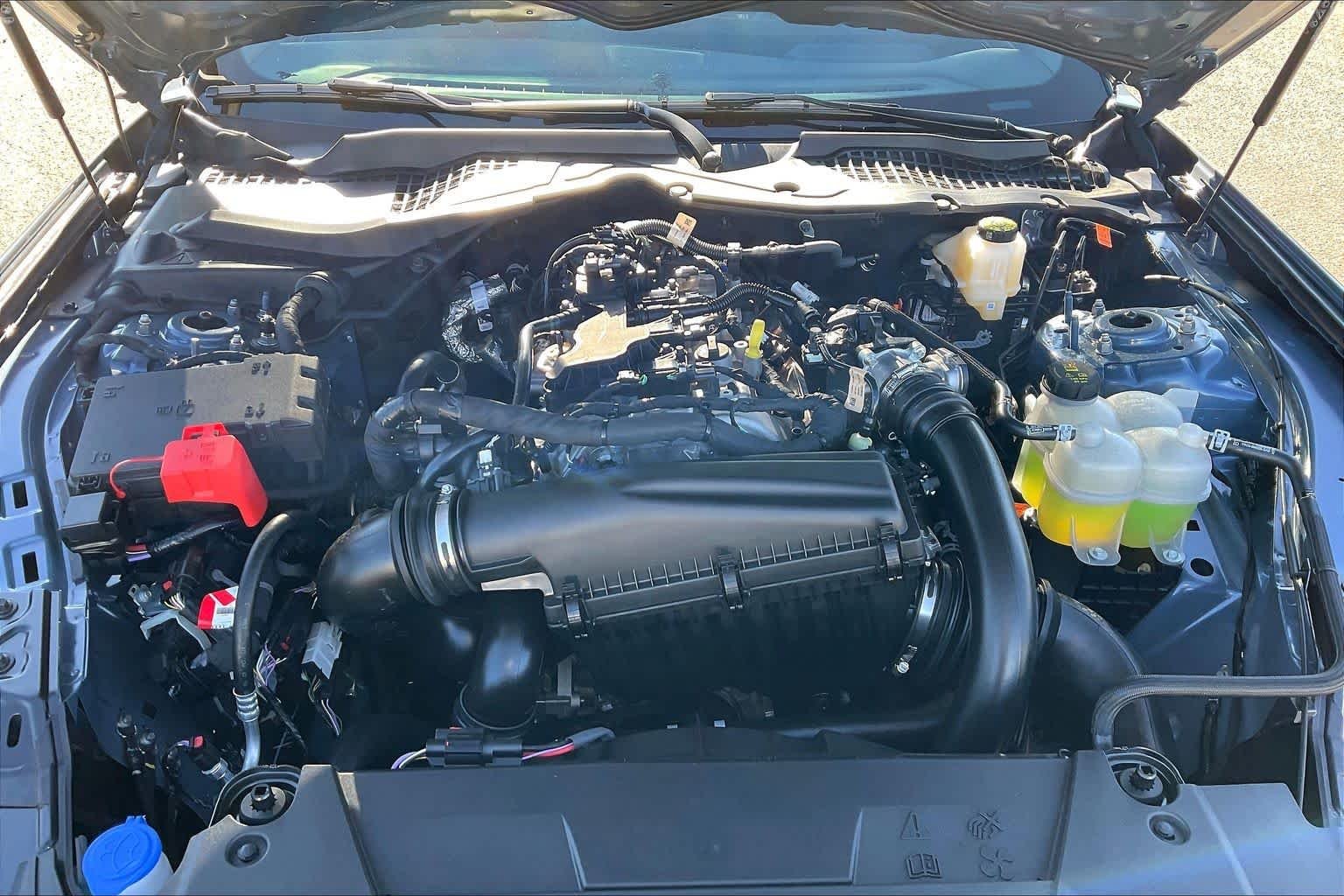 New 2026 Vapor Blue Metallic Ford EcoBoost® Premium Fastback image 14