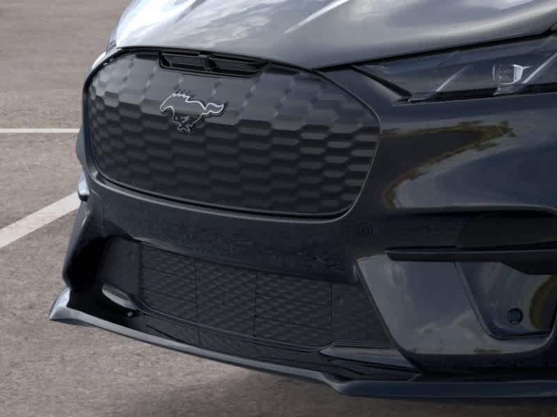 New 2026 Shadow Black Ford Premium image 17